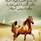 Ashraf Algharabawi