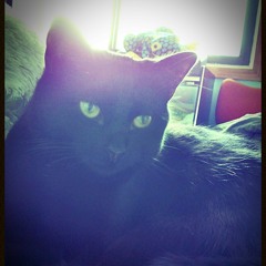 tux