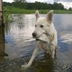 Наталья Романенко