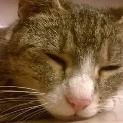 Szukcesszív Approximáció