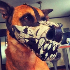 Ярик Лавов (Faelion)