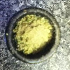 Bud86