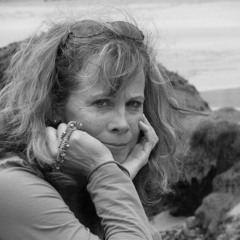 Sue Sheehan