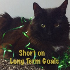 Short on Long Term Goals Podcast