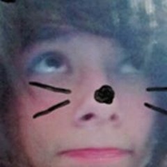 Escape To Moominvalley