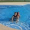 User 713333652