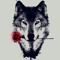 xWol4