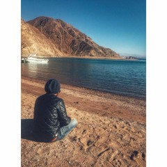 MohamedSallem