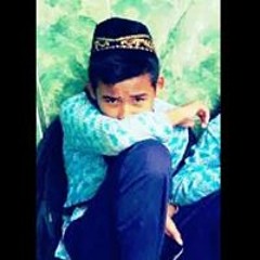 user381987437