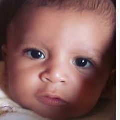 Mahmoud Abd El-kareem