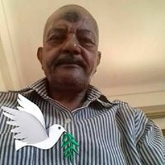 محمد صلاح عثمان