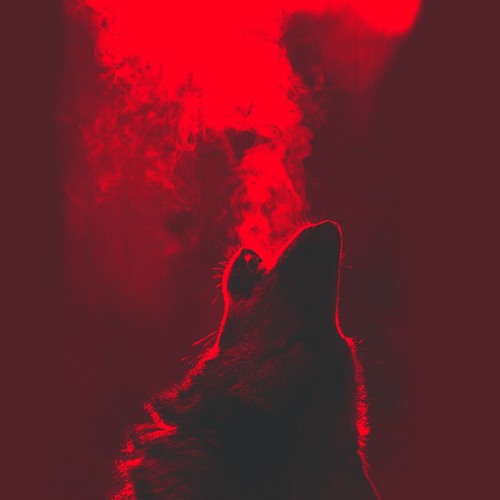 Howl Recordings’s avatar