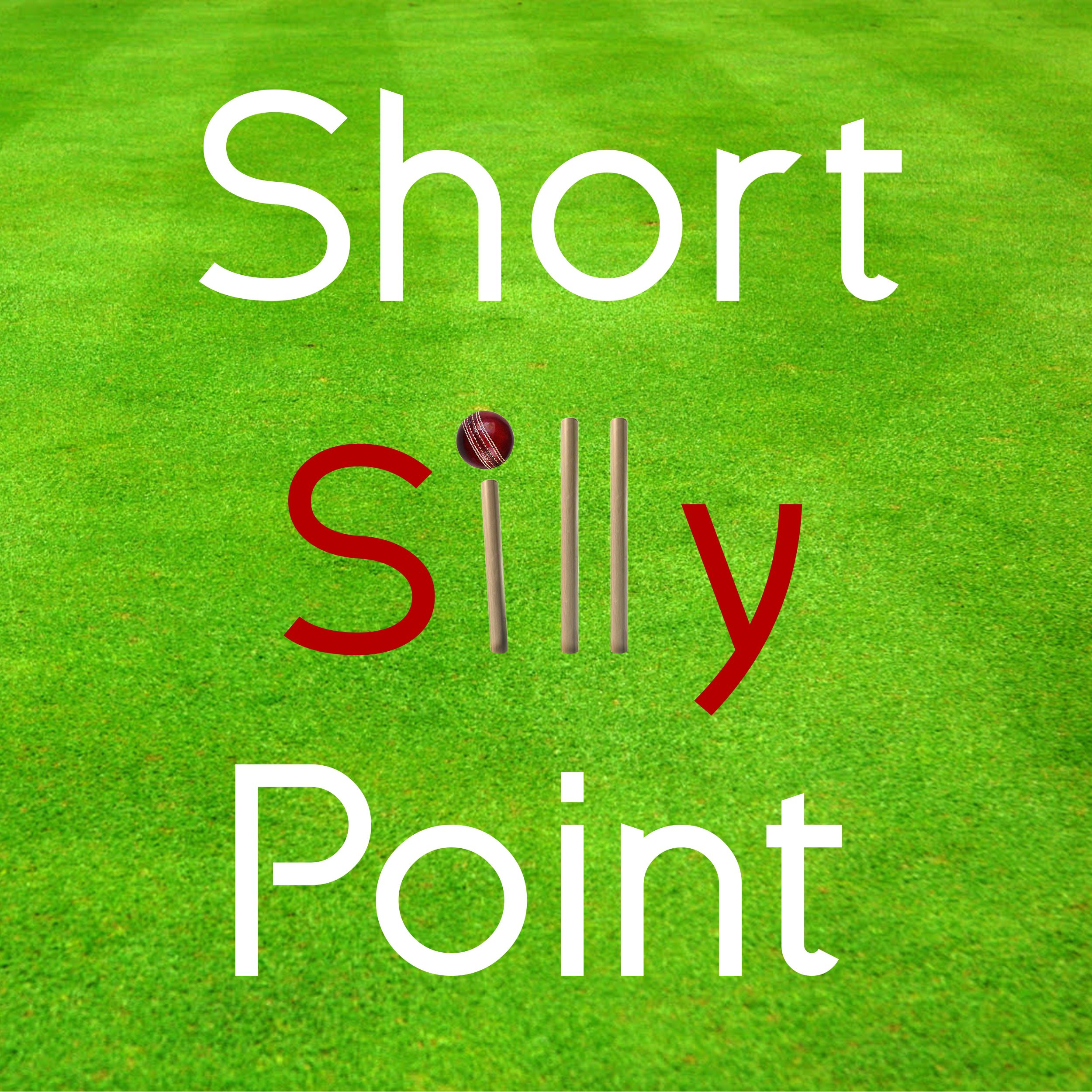 Short Silly Point