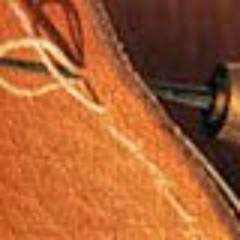 Carlos Eduardo Riegel