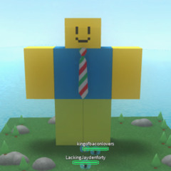 NOOB NOOBERSON