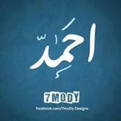 Kareem Ahmed Mohamed
