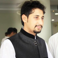 AmeE'r Wani