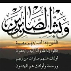 محمد السيد عبدالحميد