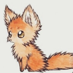 FireFox AceS
