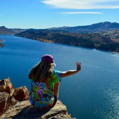 sarahmichellegilbert_