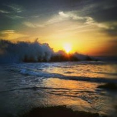 thcmovement (( Eternal Youth ))