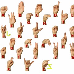 Chyna RayRay Picklez