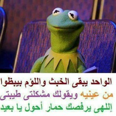 ahmedmostafa taranss