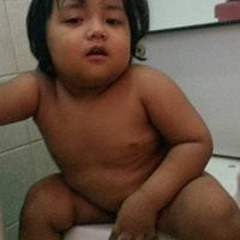 Elvis Gevero Descargar