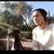 ONE SYSTEM / YOSSI EPRHIM