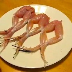 SemiSalted