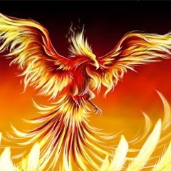 Tristan (FighterPhoenix)