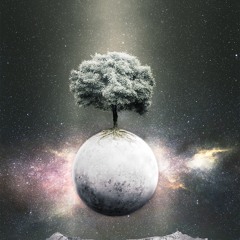 Trees 0n Mercury