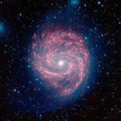 MAYIA & SpirulaHélix II