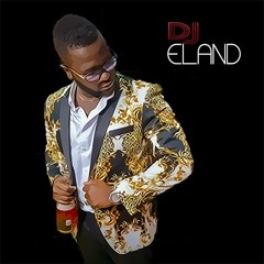DJEland Guyana