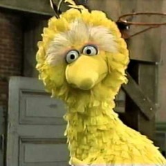 Big Bird
