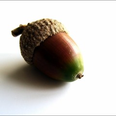 Le gland ténébreux