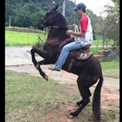 Joao Pedro Prevot