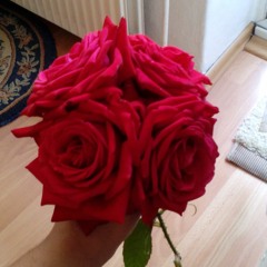 Derya_1988