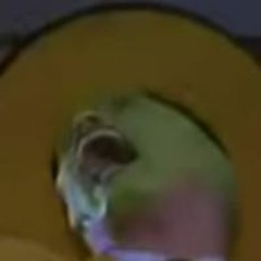 TheTechnoPenguin
