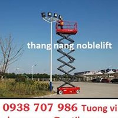 Tường Vi Nguyễn’s avatar