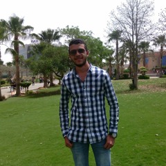 Ahmed Essam