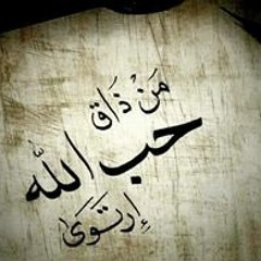 Amin Mohmed