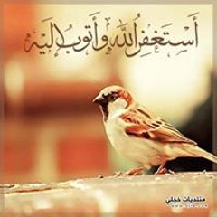 ابو السيد ومحمود