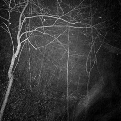 Bite It You Scum (GG Allin)