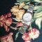 User 976410034