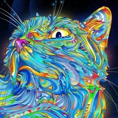 Hardstyle / Gabber