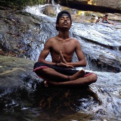 Weverton Shavershian Vvz