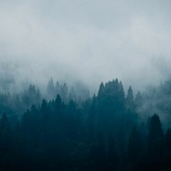 wölf