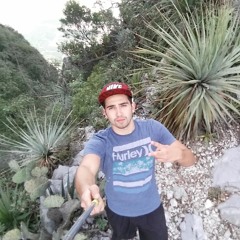 Hector Ibarra