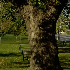 Australian Folk Music